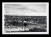 Image 1 Transition Through The Water
©2025